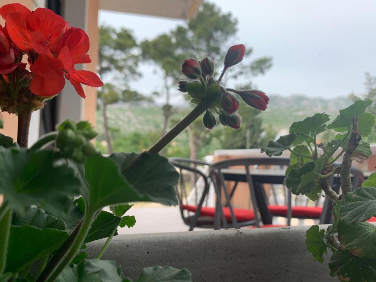 Apartmani Spomenka Seline Esterno foto