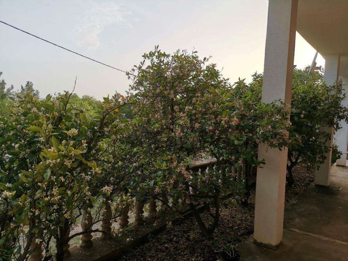 Apartmani Spomenka Seline Esterno foto