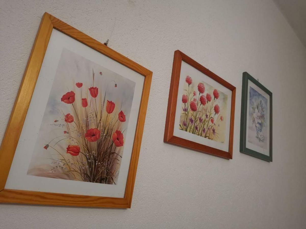 Apartmani Spomenka Seline Esterno foto