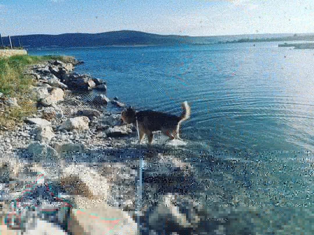 Apartmani Spomenka Seline Esterno foto