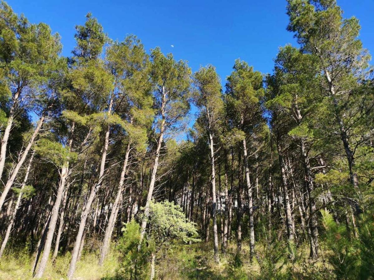 Apartmani Spomenka Seline Esterno foto