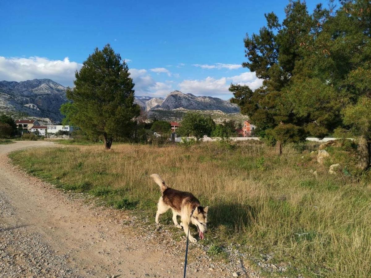 Apartmani Spomenka Seline Esterno foto